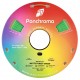 رول فیلامنت Panchroma Matte PLA با رنگ مات و بافت مخملی سبز جنگلی