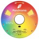 رول فیلامنت Panchroma Matte PLA با رنگ مات و بافت مخملی زرد ساوانا