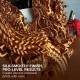 فیلامنت پولی میکر Panchroma Silk PLA رنگ Silk Bronze فیلامنت پولی میکر Panchroma Silk PLA رنگ Silk Bronze