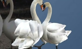 تبدیل تصویر به مدل سه بعدی: چگونه یک مدل سه بعدی از عکس ها ایجاد کنیم تبدیل تصویر به مدل سه بعدی: چگونه یک مدل سه بعدی از عکس ها ایجاد کنیم