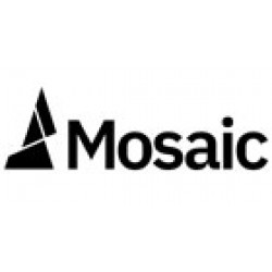 Mosaic-mosaic