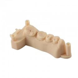 رزین D01S مدل سازی دقیق دندان رزیون رنگ صدفی Resione D01S Dental Model Low Shrinkage Resin رزین D01S مدل سازی دقیق دندان رزیون رنگ صدفی Resione D01S Dental Model Low Shrinkage Resin