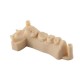 رزین D01S مدل سازی دقیق دندان رزیون رنگ صدفی Resione D01S Dental Model Low Shrinkage Resin