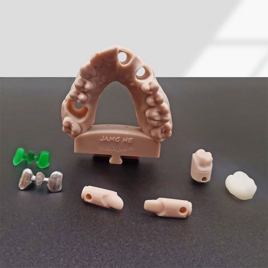رزین مدلسازی دندان مدل پرو رنگ پوست جمقه JAMGHE Dental Pro Model DN-19E
