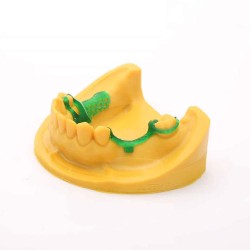 رزین مدل سازی دندان رنگ زرد برند ایسان Esun Dental Model Resin رزین مدل سازی دندان رنگ زرد برند ایسان Esun Dental Model Resin