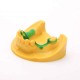 رزین مدل سازی دندان رنگ زرد برند ایسان Esun Dental Model Resin
